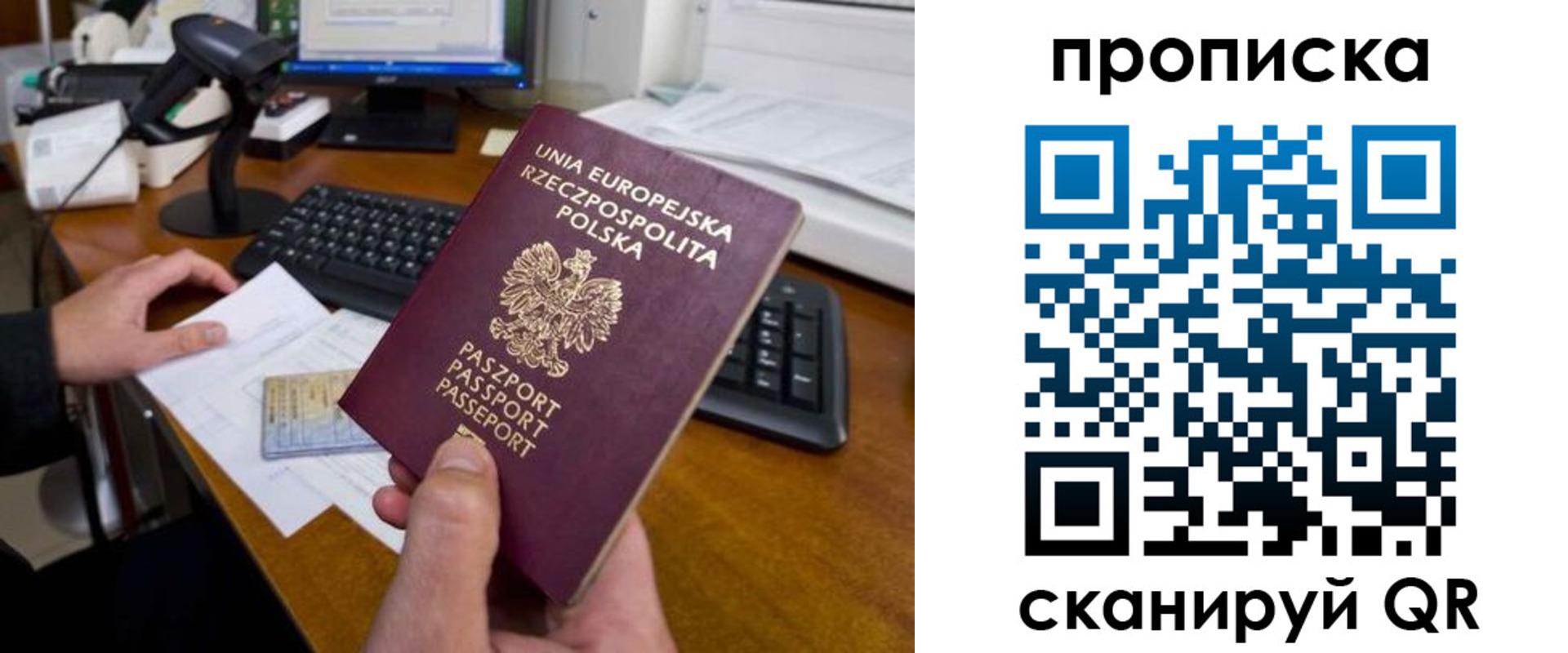 прописка для школы в Мытищах